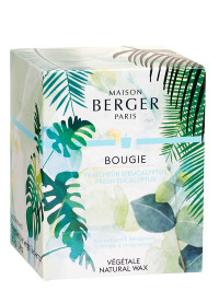Bougie parfumée Immersion - Fraîcheur d'Eucalyptus | MAISON BERGER