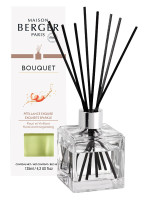 Bouquet parfumé Pétillance Exquise | MAISON BERGER