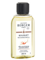 Recharge Bouquet Pétillance Exquise | MAISON BERGER
